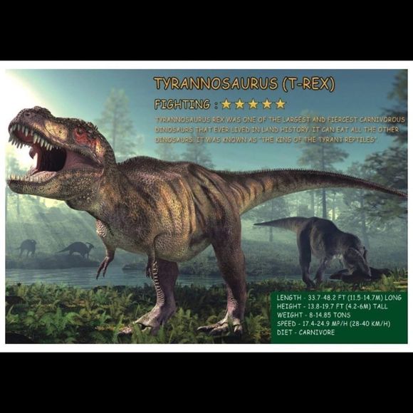 Dinosaur Set - Picture 6 of 7